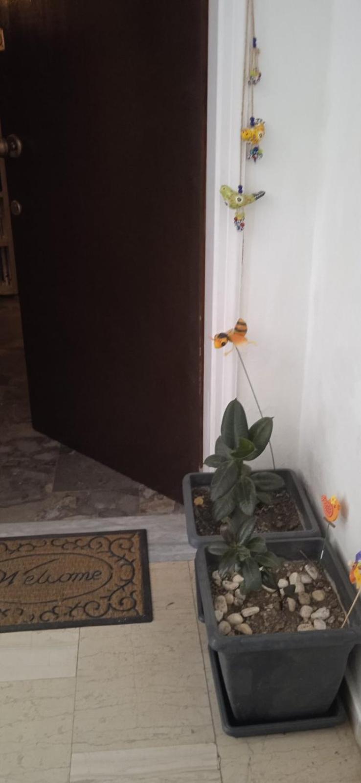 Campelina Home, 2Bd Near Corfu Town Corfu (city) Exterior foto